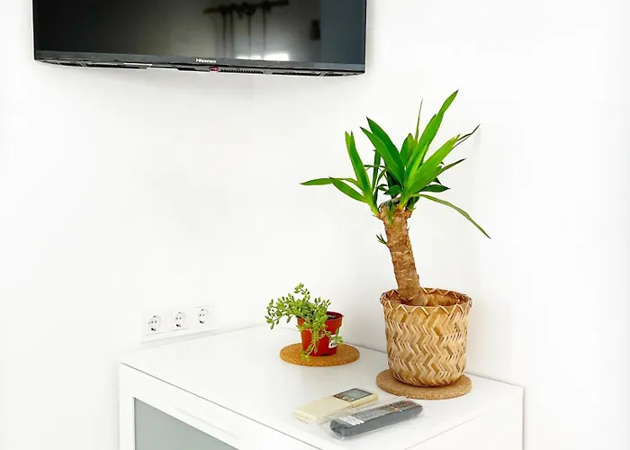 Work Study * فالنسيا